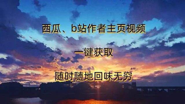 西瓜,b站作者主页视频,一键获取,随时随地回味无穷!