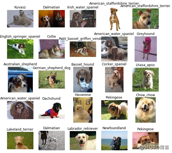 e2ea780133b4935cad235f55281e2379.png
