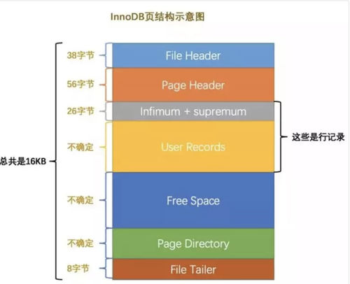 面试题：你真的熟悉MySQL数据库以及索引吗？