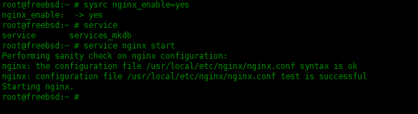 如何在FreeBSD中安装Nginx,MySQL,PHP(FEMP)如何在FreeBSD中安装Nginx,MySQL,PHP(FEMP)