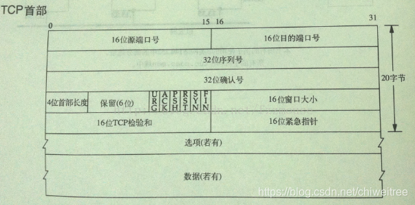 【TCP】图解，一步一步拆解TCP包结构，各个字段分析_TCP_03