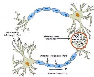 新手入门深度学习 | 3-2：激活函数activation