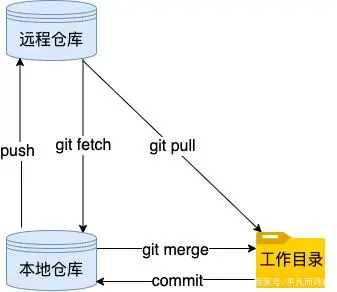 Git 与远程分支