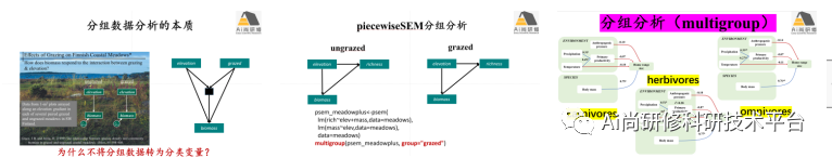 基于R语言piecewiseSEM结构方程模型在生态环境领域技术应用