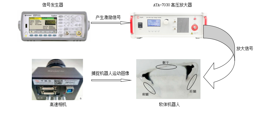 功率放大器在驱动介电弹性体机器人的应用