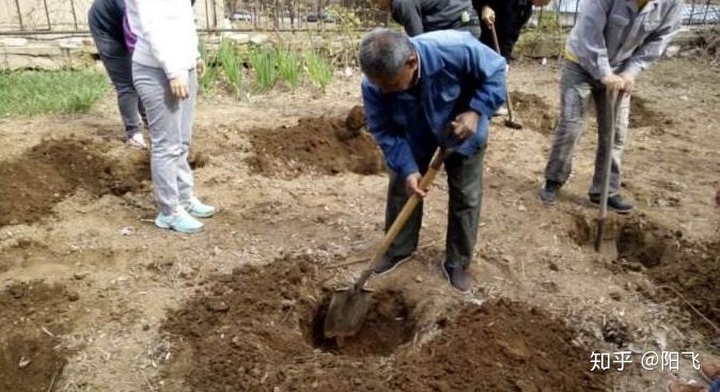 现在能种树了吗 e3b5b990cb1af3a24a04be4964952959.png