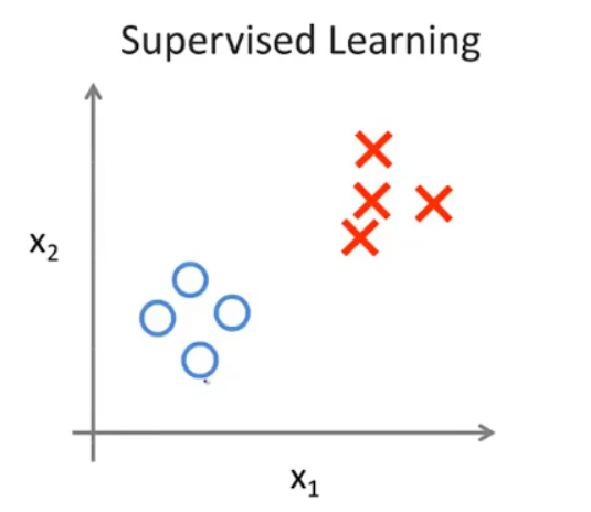 image-20220301152949402