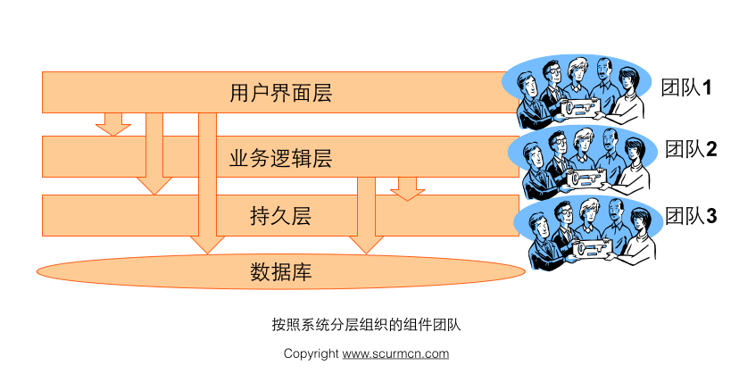 组件团队