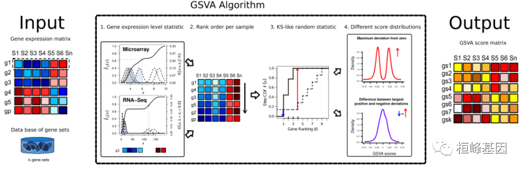 RNA 18. SCI 文章中基因集变异分析 GSVA