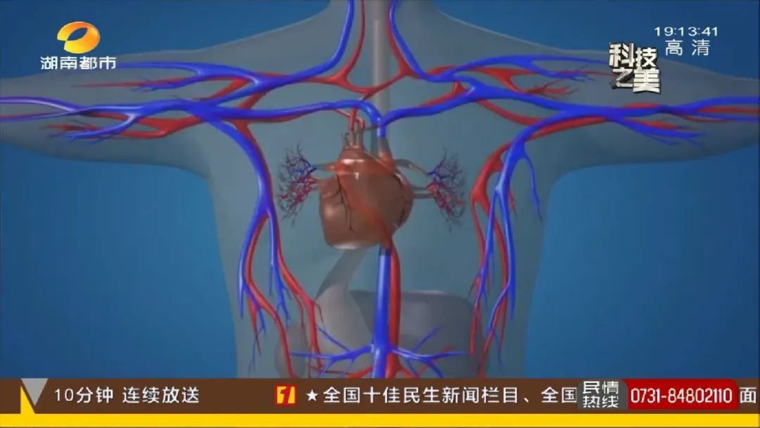 中南大學湘雅二醫院 心血管外科 主任醫師 劉立明: