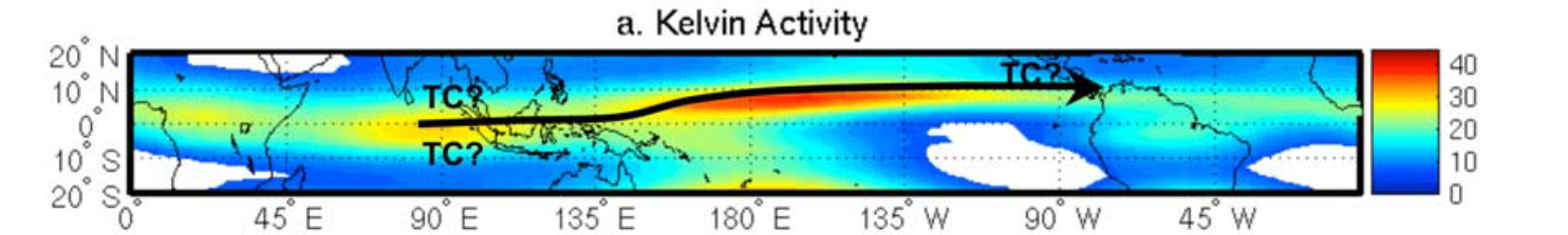 Distribution of annual mean variance for kelvin wave