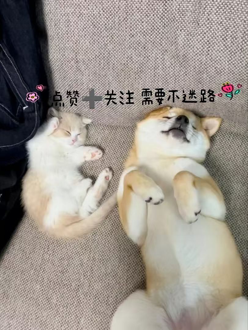 e416effcb10ce53b571d825cad4229c6.jpeg