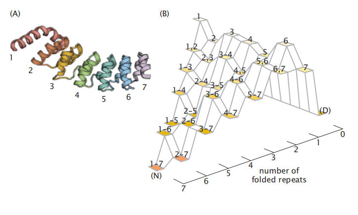 27《Protein Actions Principles and Modeling》-《蛋白质作用原理和建模》中文分享