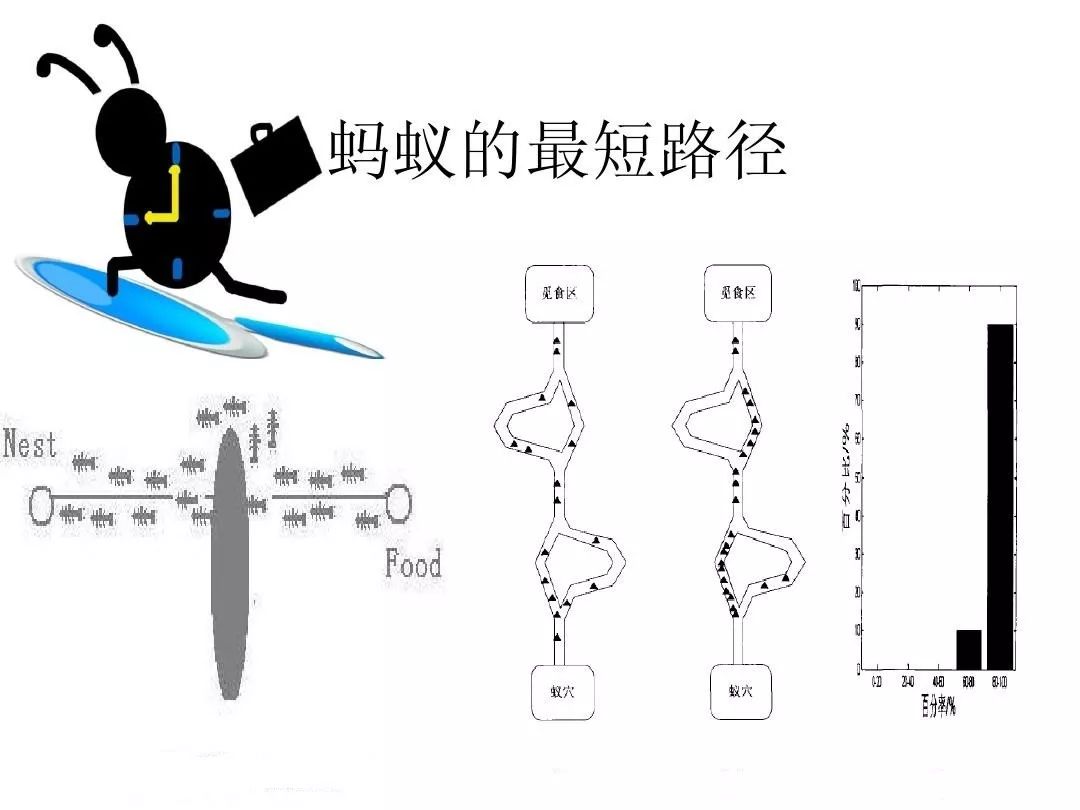 e4a67dddda7b628ef4f0514a9c779ab9.png