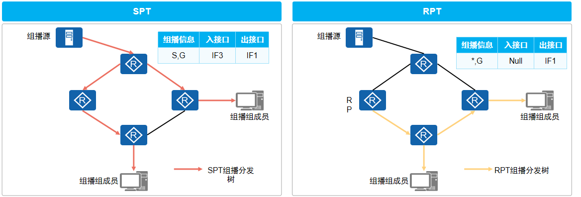 组播分发树类型