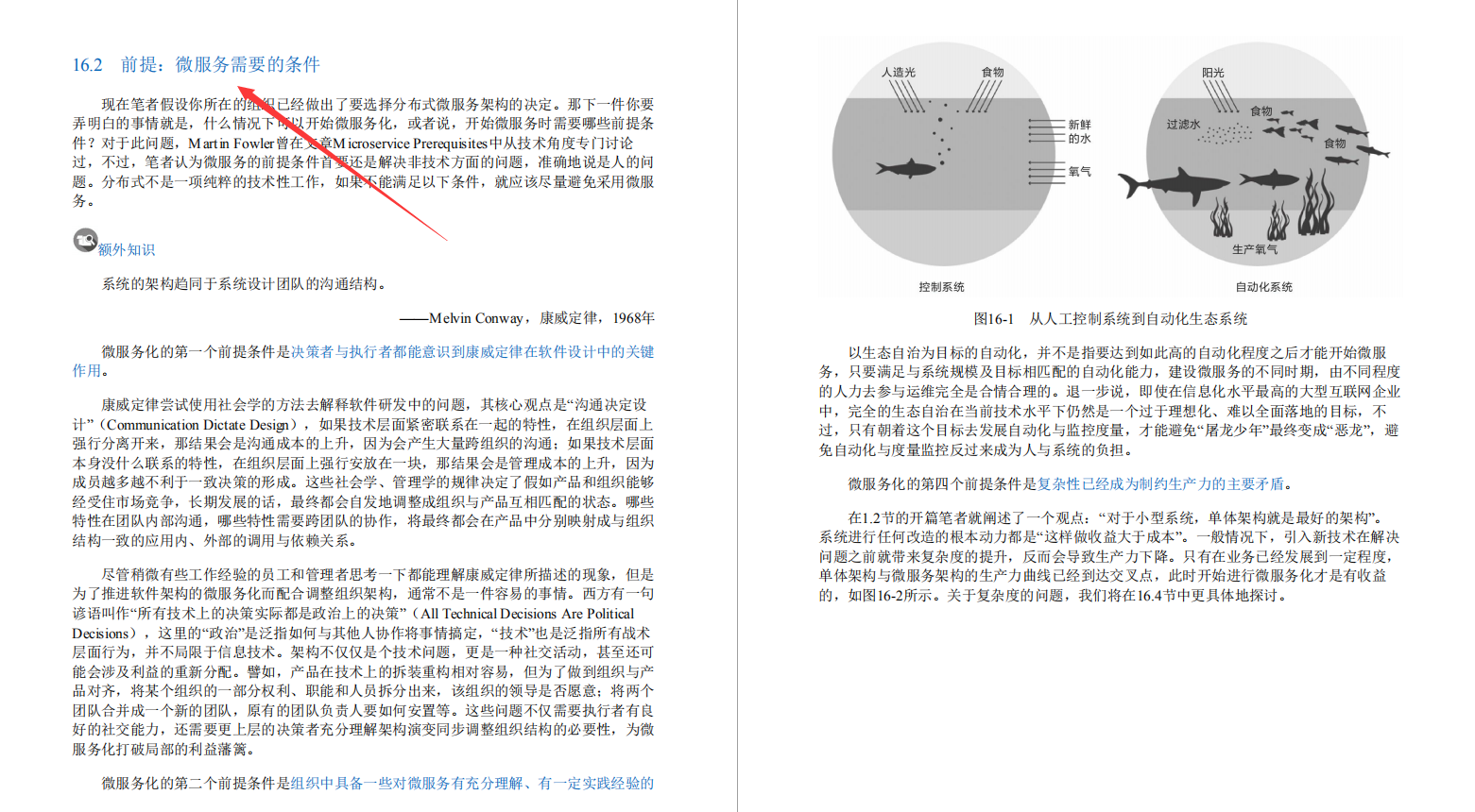 阿里内部第一本“凤凰架构”，手把手教你构建可靠大型分布式系统