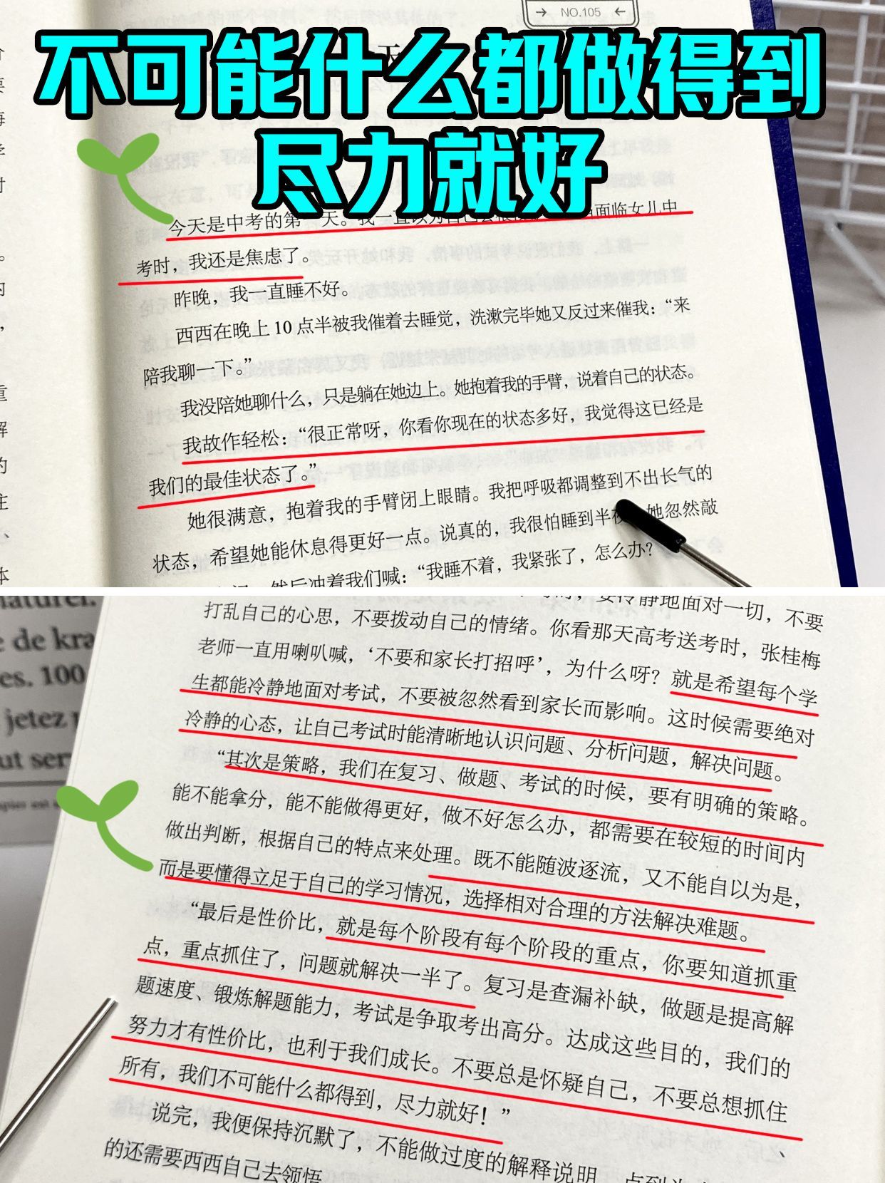 e4e80a3d74d2a95ab57cd54405e96a55.jpeg