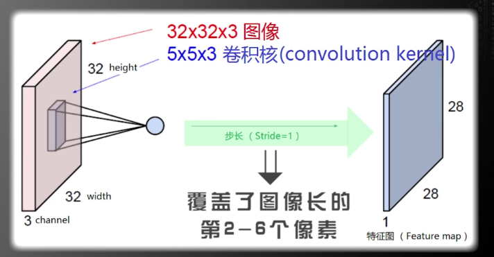 image-20211125205023651