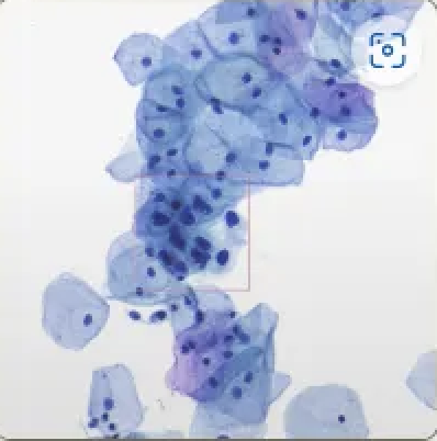 e53767978cd35086e7e3e831798a8fe0.jpeg