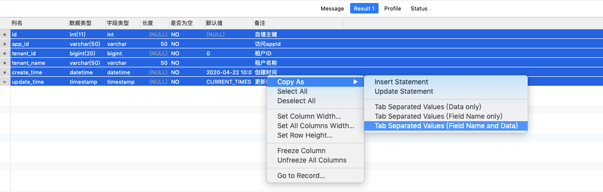 利用Navicat Premium导出数据库表结构信息至Excel