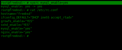 如何在FreeBSD中安装Nginx,MySQL,PHP(FEMP)如何在FreeBSD中安装Nginx,MySQL,PHP(FEMP)