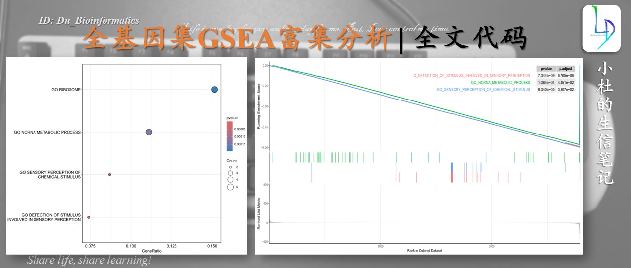 全基因集GSEA富集分析