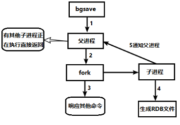 image-20210503234803562