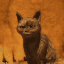 e565b8b6ca0aef58f25a11dd992f5583.gif