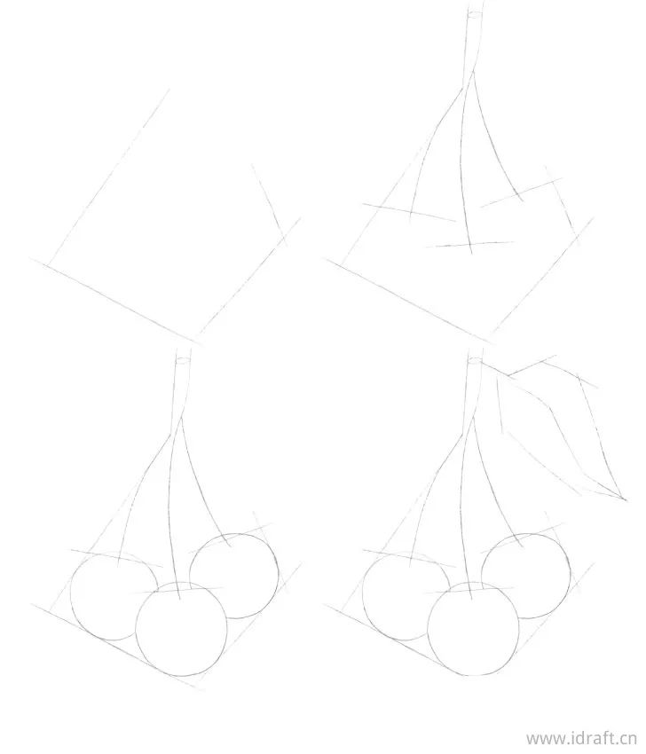 使用gsds绘制基因结构图樱桃的铅笔画素描过程步骤结构图的前期构建很