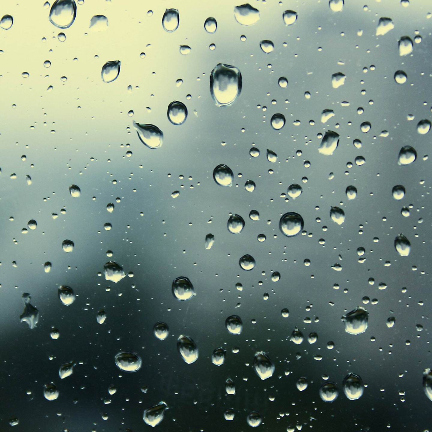 e58bedac78d5af146f25505a15d48ef0.png