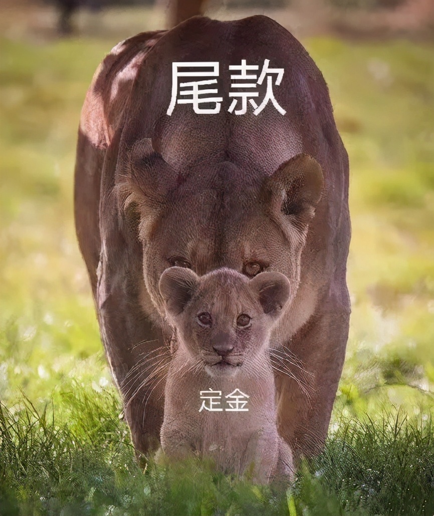 熬夜奋战的尾款人你退货了吗