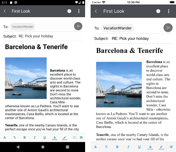 Telerik UI for Xamarin's rich text editor control-building mobile application native UI