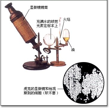 显微镜-科研仪器设备