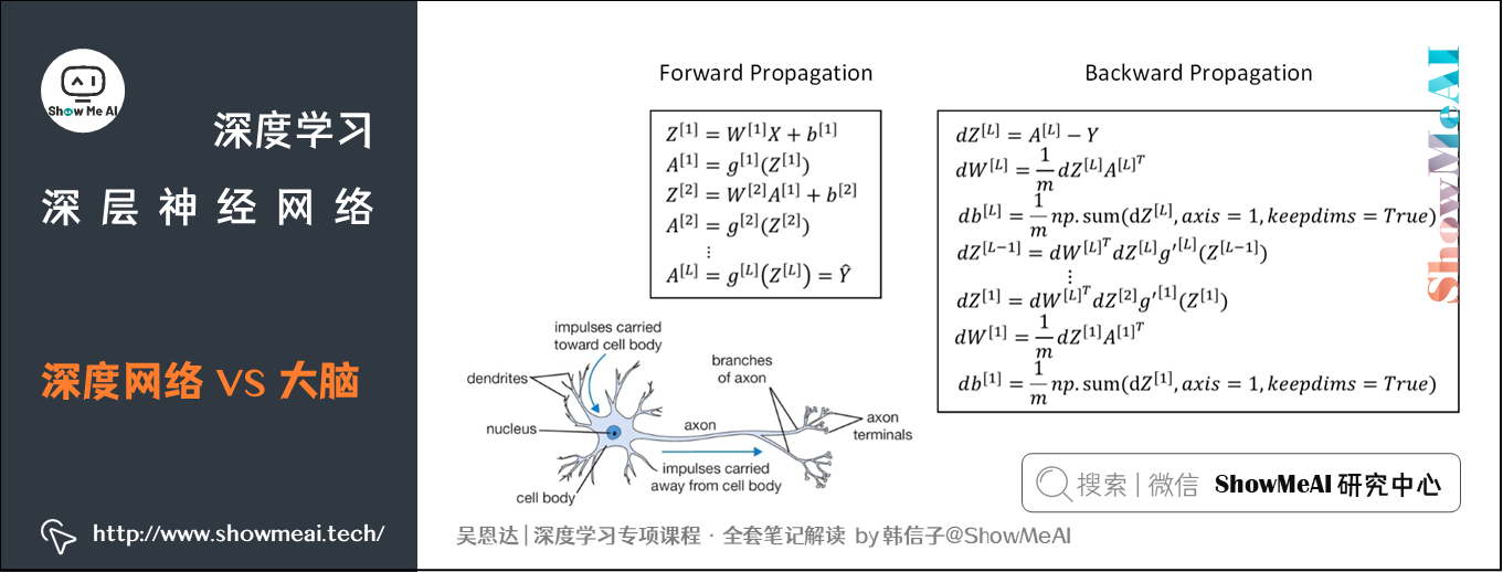 深度网络 VS 大脑