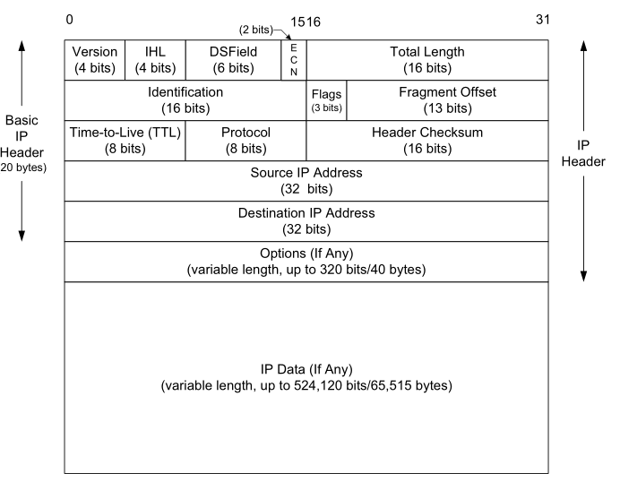 深入理解IP协议：核心要素与头部解析-CSDN博客