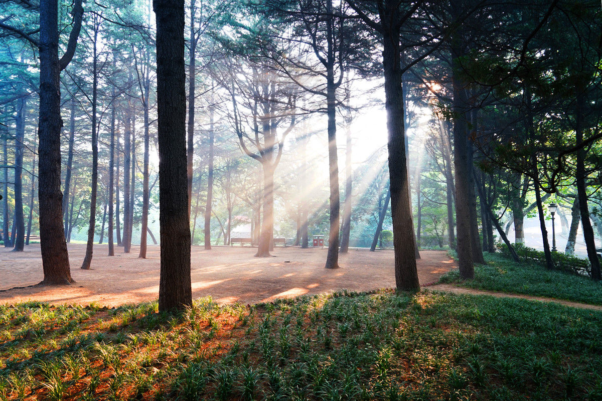 volumelighting的本质就是模拟丁达尔效应,即光线在空气中的散射效果.