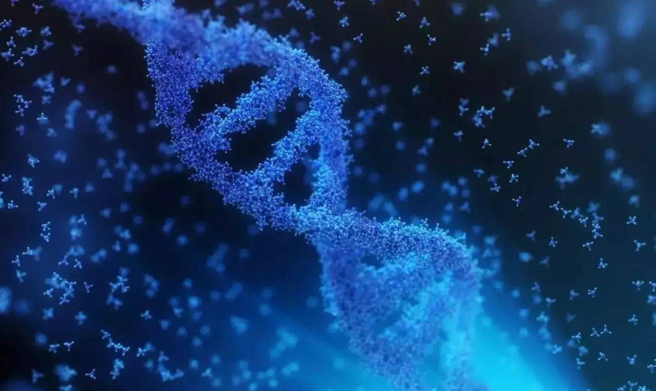 人一个基因用计算机存储厉害了我的华盛顿大学用人类dna侵入电脑系统