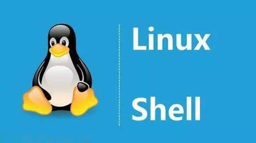 value静态变量好程序员云计算教程之shell变量知识梳理