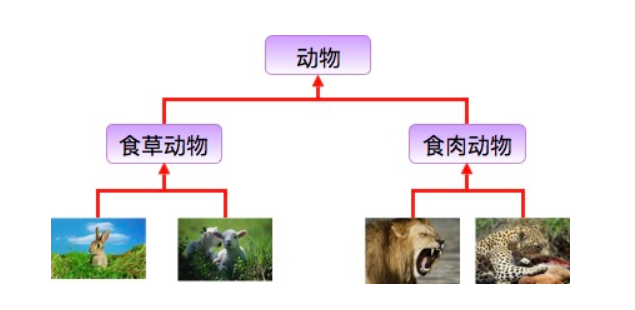 image-20220710232104020