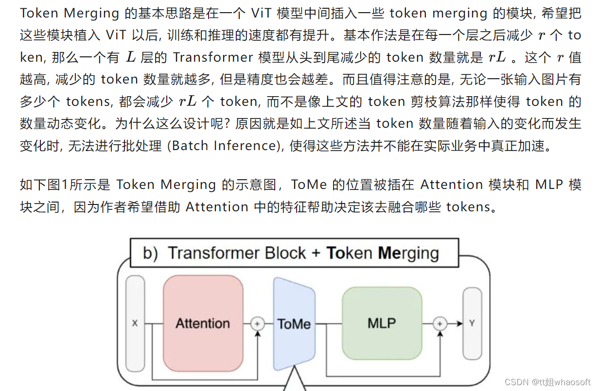 vit~3_深度学习