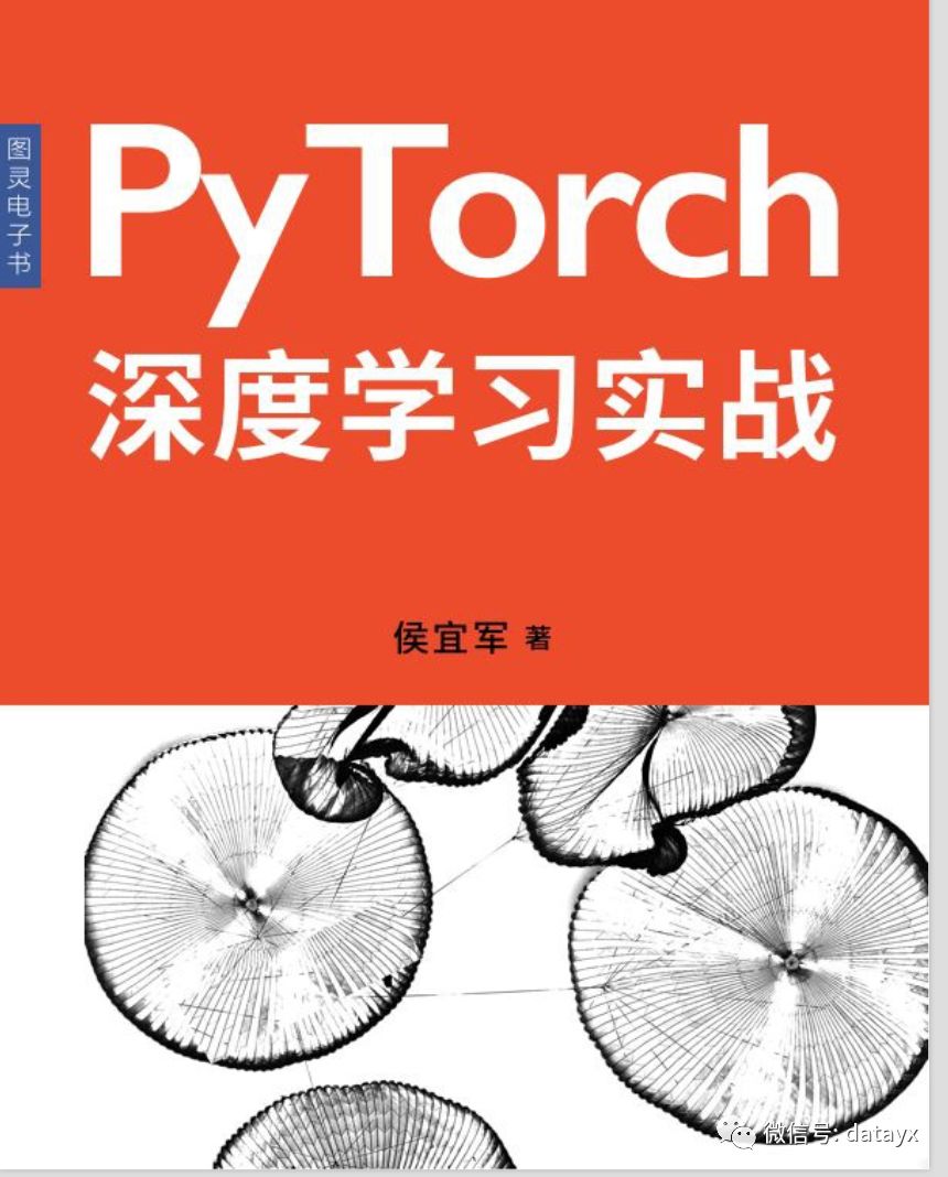 Deep Learning with PyTorch 必看教程集(4本)-CSDN博客