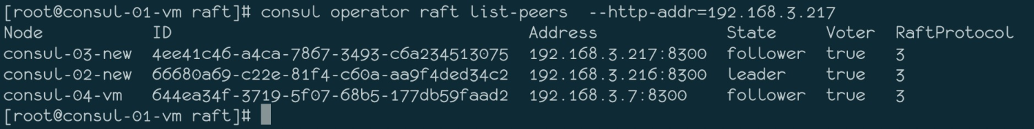 consul server with Voter