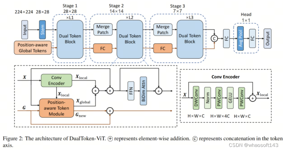 DualToken-ViT_目标检测_02