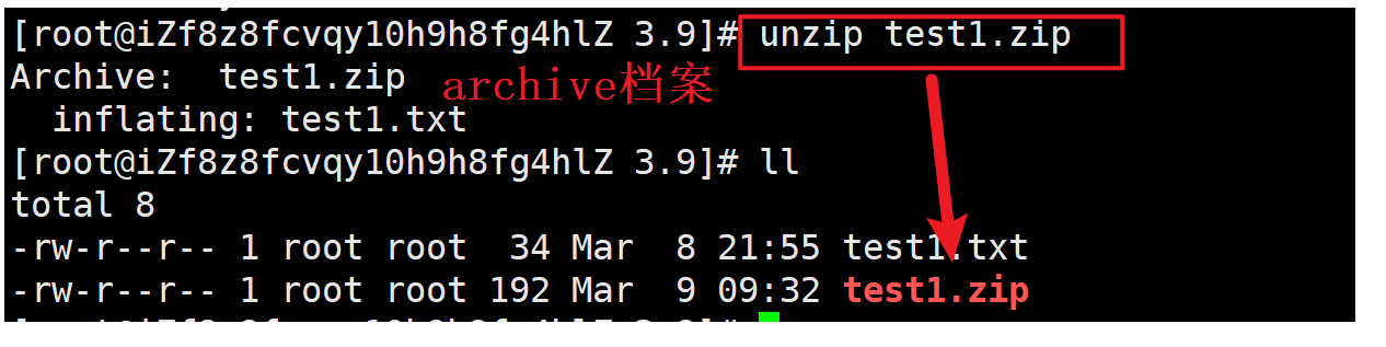 探索Linux世界：基本指令（文件查看、时间相关、grep、打包压缩及相关知识）