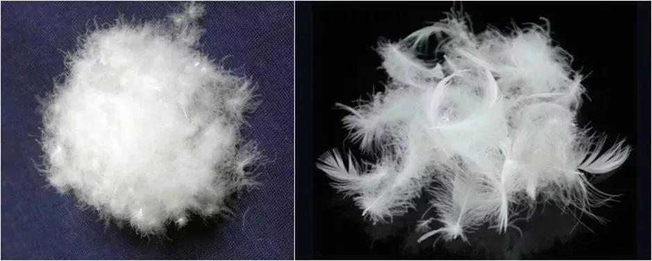 ceph auth get_服装百科|get到羽绒服的"绒"干货,你就能做好设计