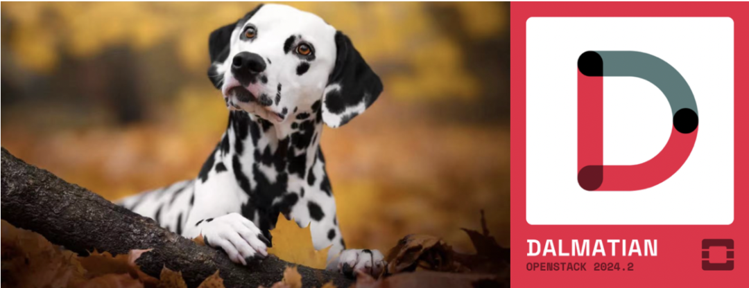 OpenStack 新版本 Dalmatian 发布，为人工智能工作负载、安全性和用户体验提供增强功能