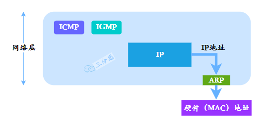 ARP 协议作用