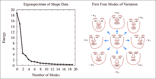 Linear shape models