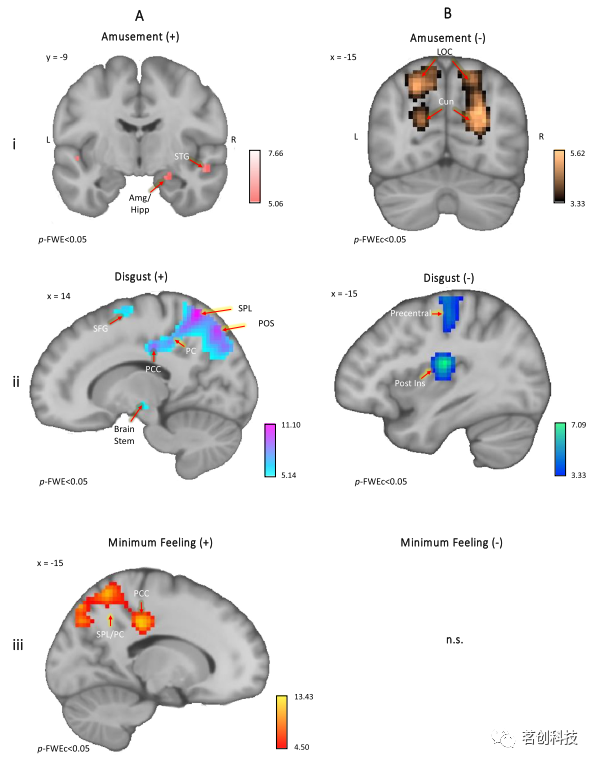 fMRI研究 | 社交情境下的混合情绪