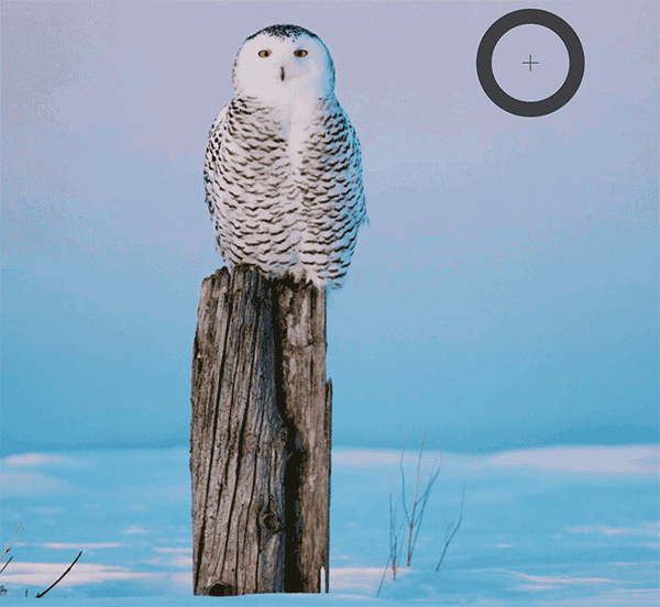 e89737e05fe8d3f6a0a1e46916863142.gif